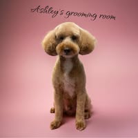 Ashleys Grooming Room