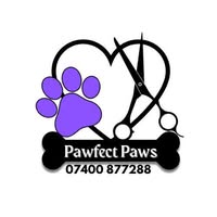 Pawfect Paws