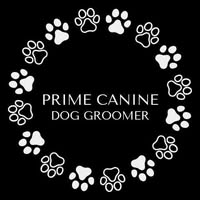 Prime Canine Ltd - Dog Groomer