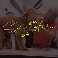 Springfern Grooming Salon (Stanraer)