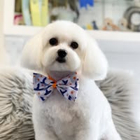 Barkingham Park Pet Spa