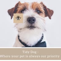 Tidy Dog Grooming And Spa LTD