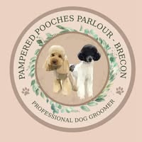 Pampered Pooches Parlour Brecon