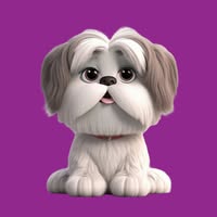 Shampooch Dog Grooming East Lothian