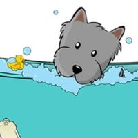 Bark & Bath Dog Grooming