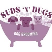 Suds 'N' Dugs