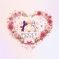 Pucci Pets