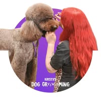 Kirsty's Dog Grooming