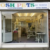 Posh Pets