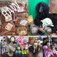 Pollys Pampered Pooches