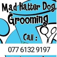 Mad Hatter Dog Grooming Omagh