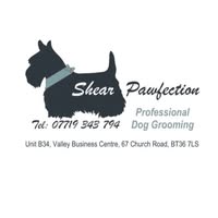 Shear Pawfection Professional Dog Grooming