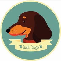 Just Dogs Groom Room Strathaven