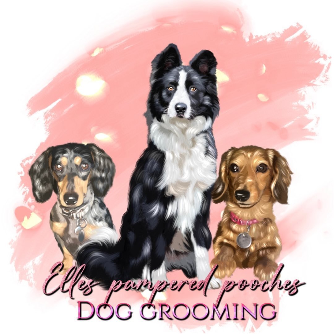 Elles pampered pooches