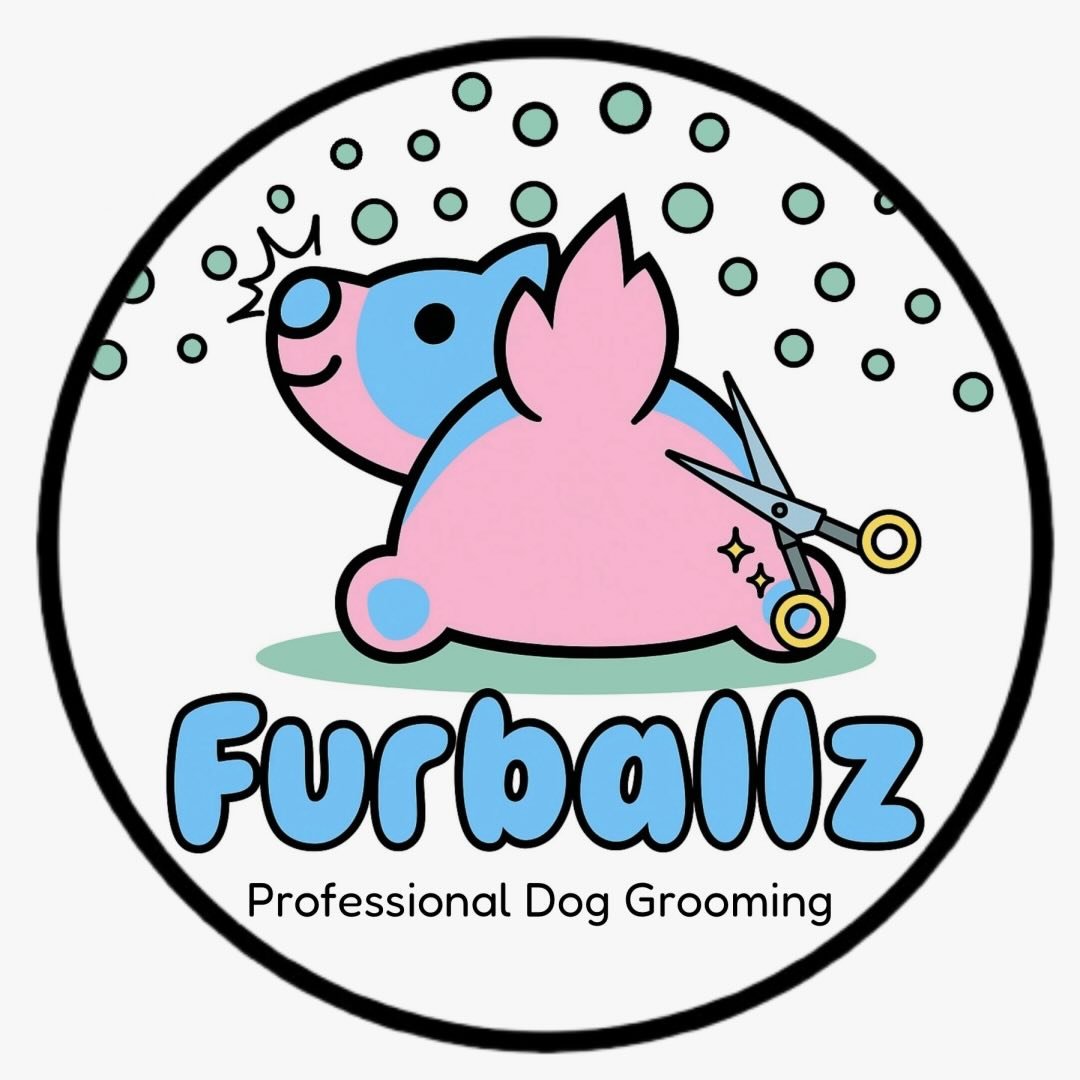 Furballz Professional Dog Grooming