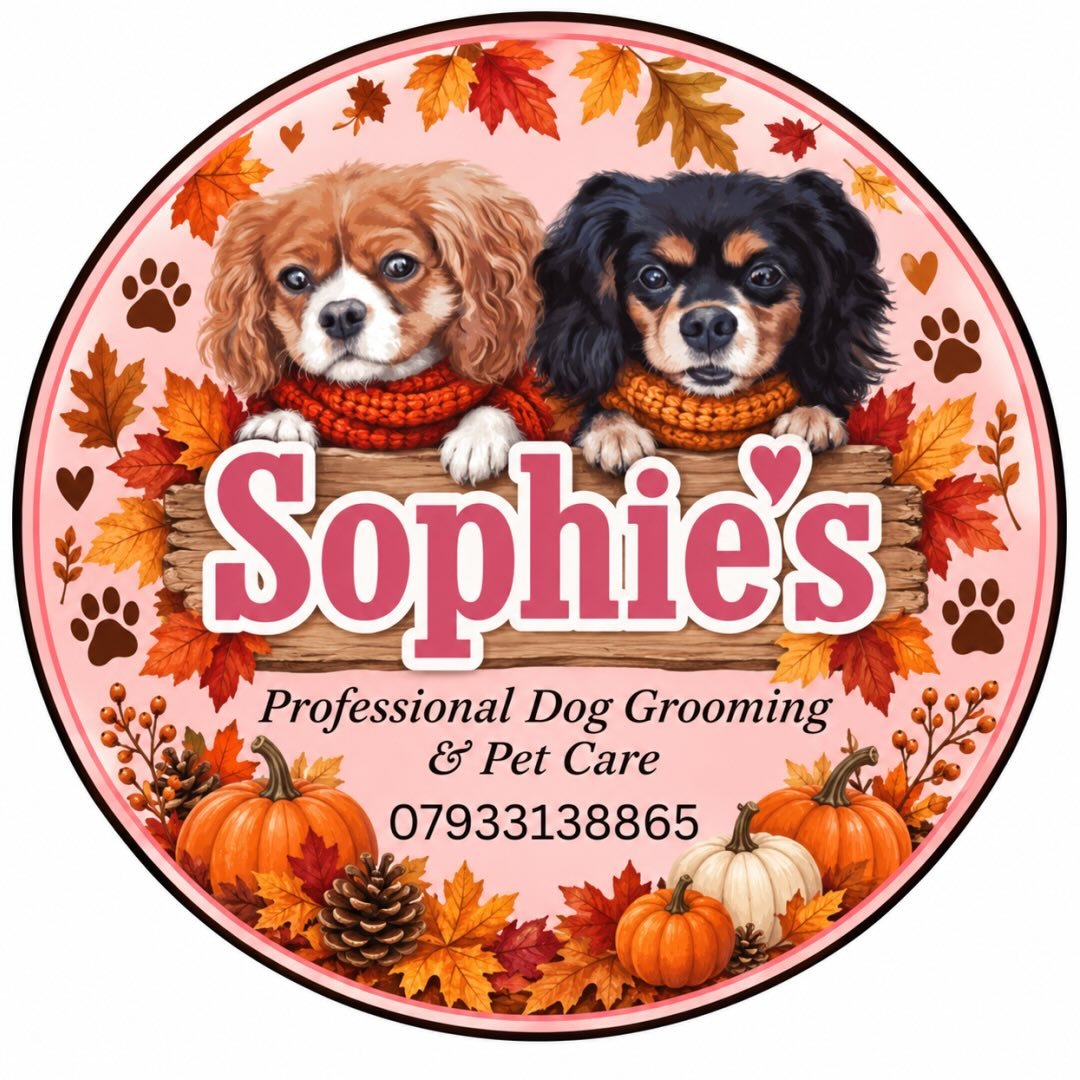 Sophie’s Professional Dog Grooming & Pet Care