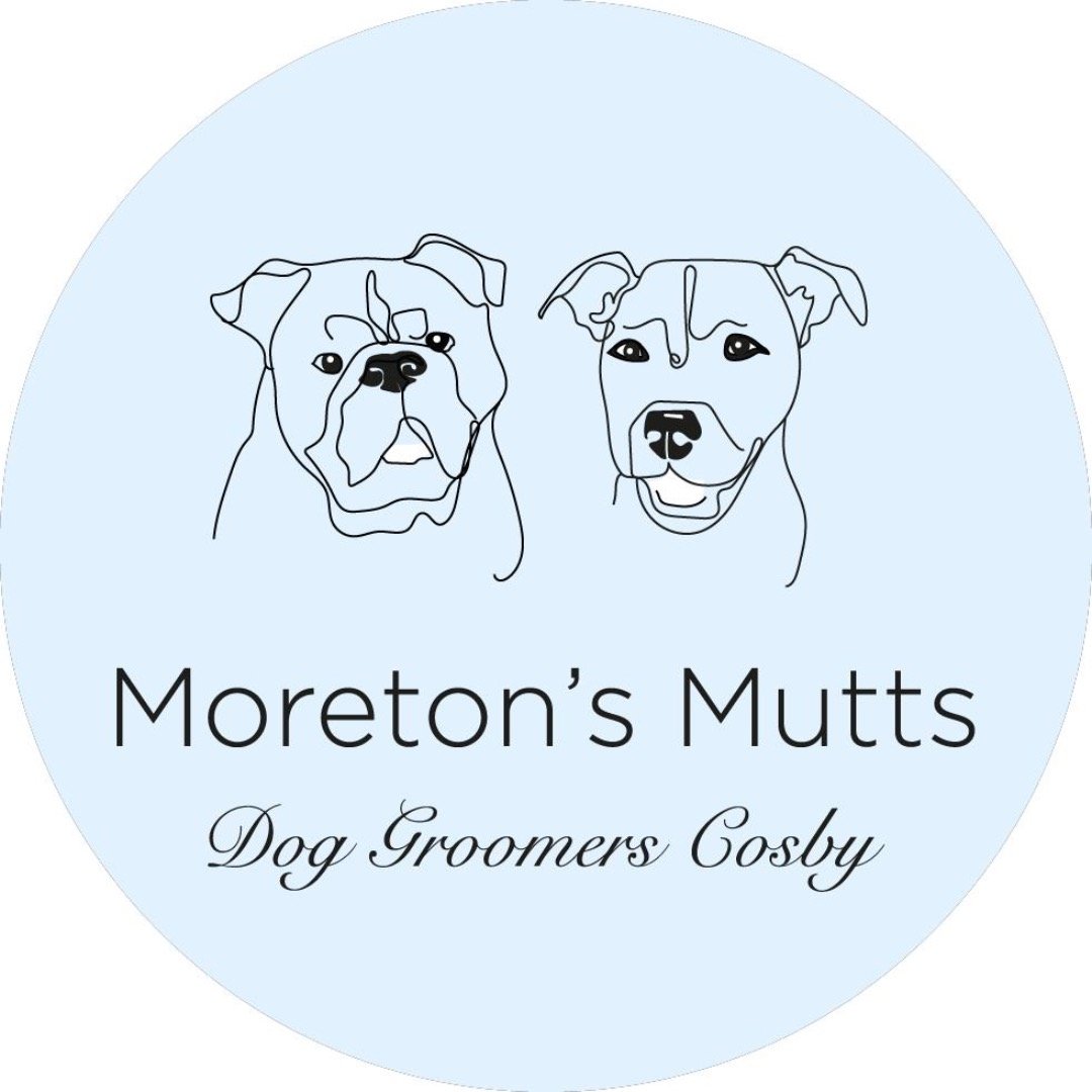 Moreton's Mutts