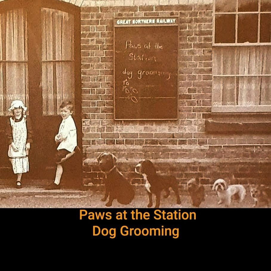 Paws At The Station, Dog Grooming