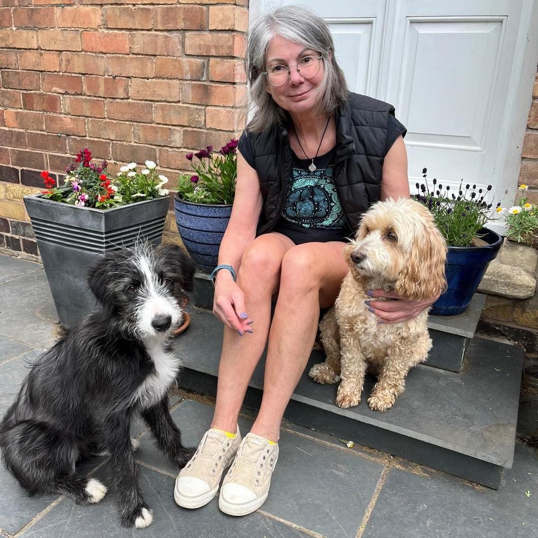 Paws 4 Thought - Dog Grooming - Malvern