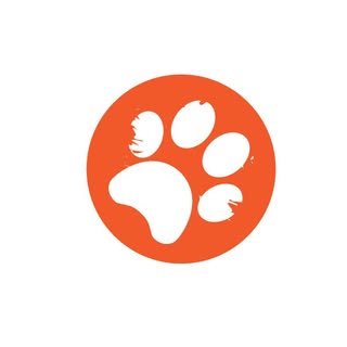 Loch Leven Dog Grooming