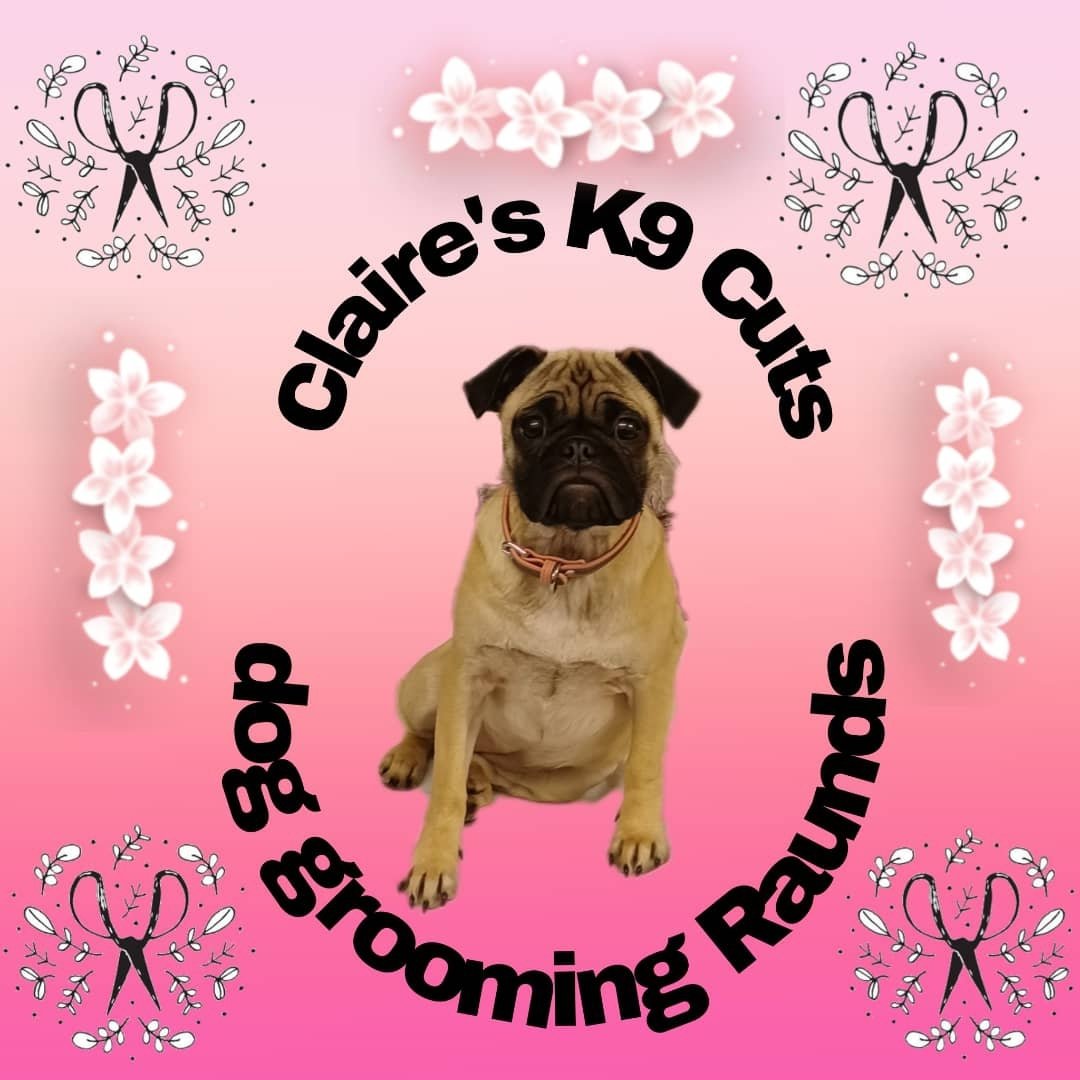 Claire's K9 cuts Raunds
