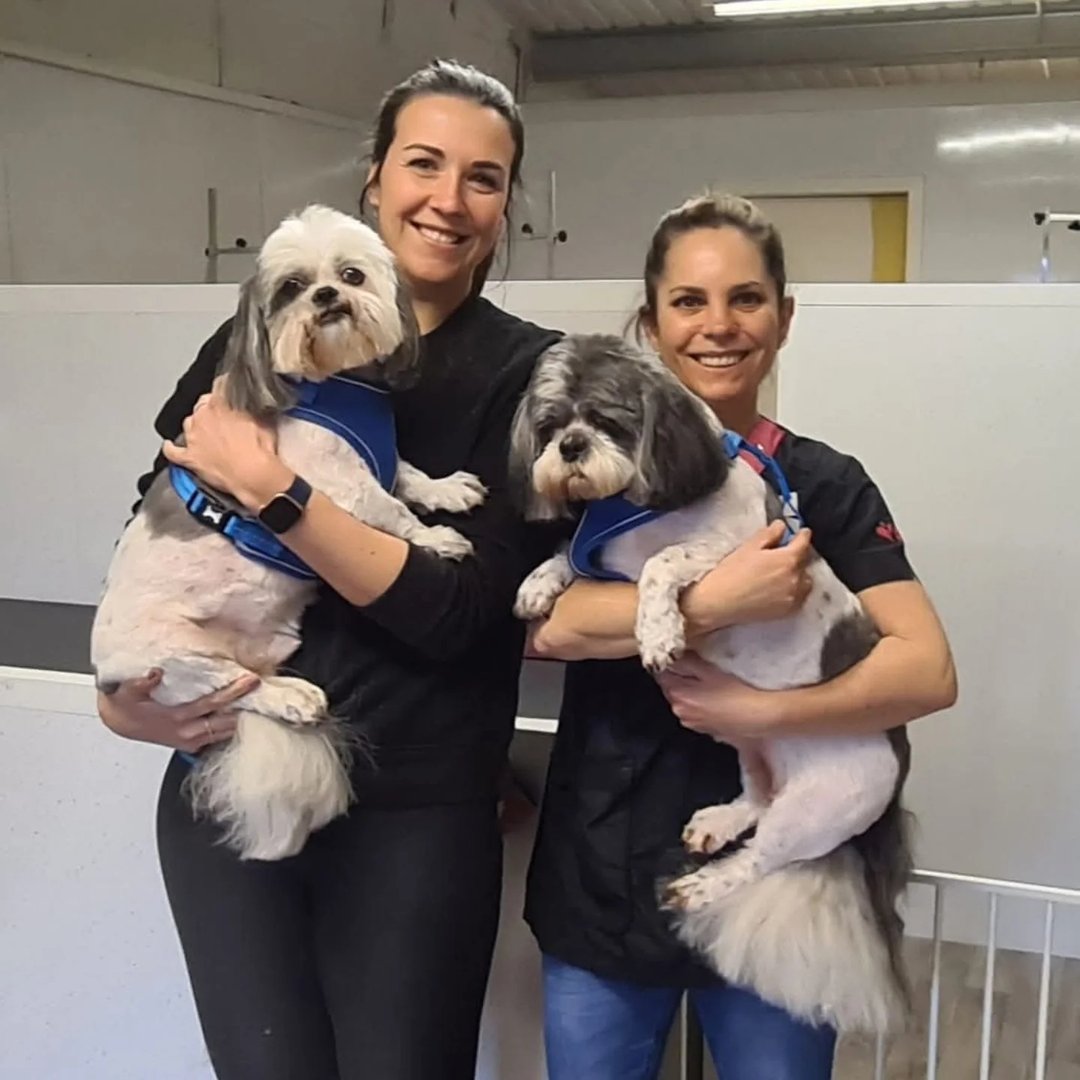 Dogstar Grooming