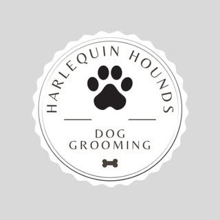 Harlequin Hounds Groooming