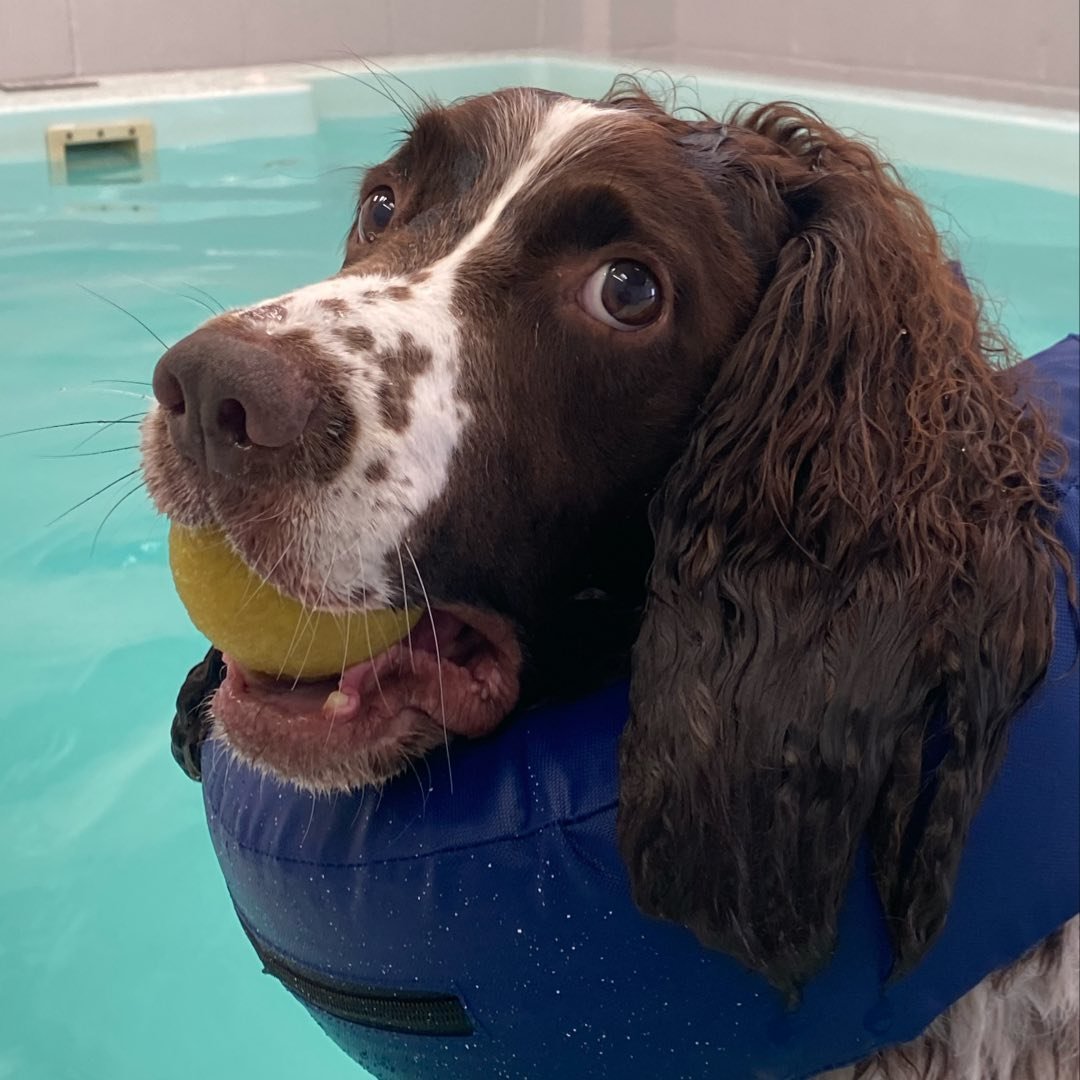 Paddy's Pool
