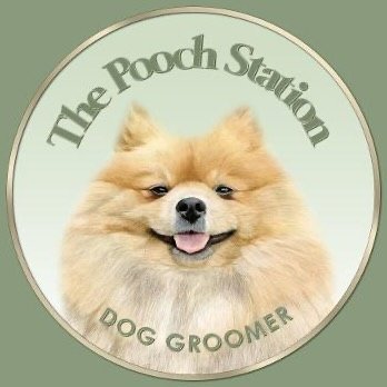 The pooch station