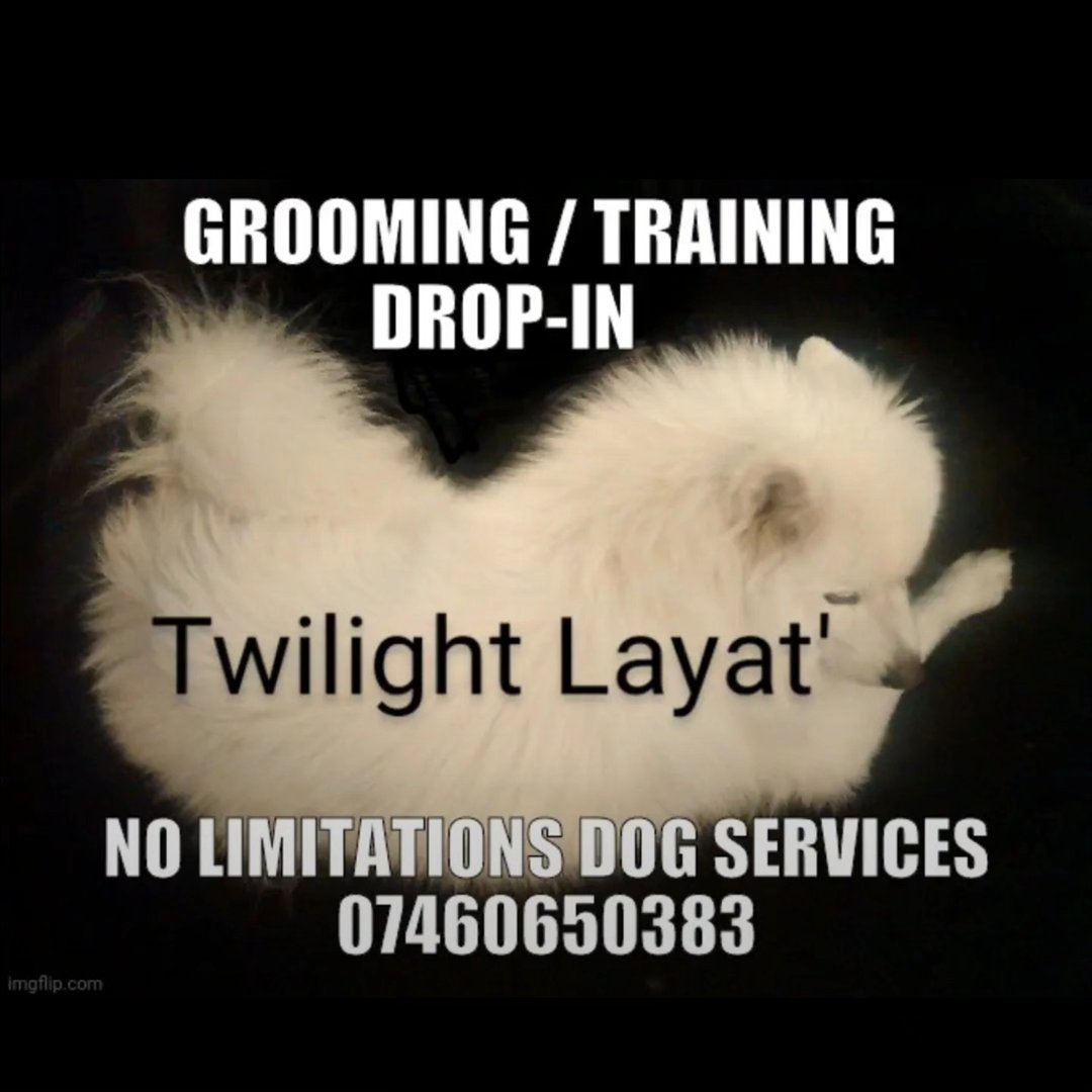 Twilight Layat'