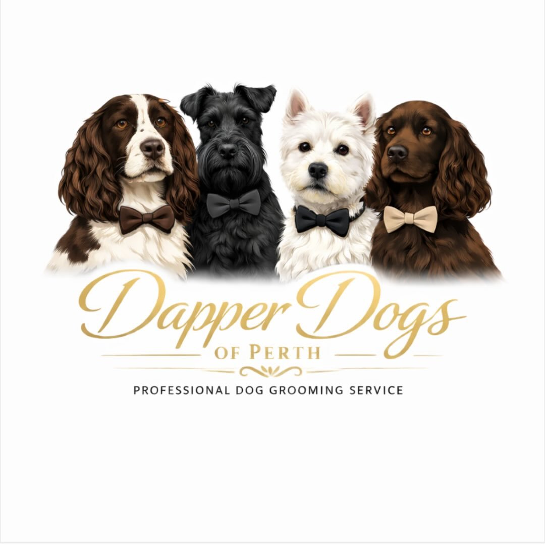 Dapper Dogs Of Perth