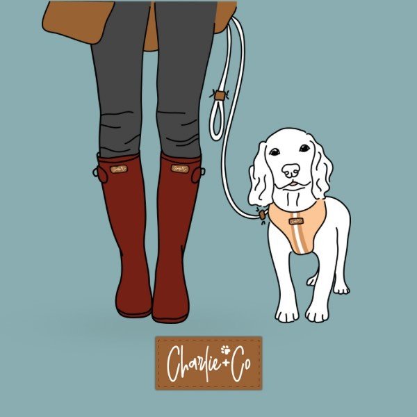 Charlie + Co