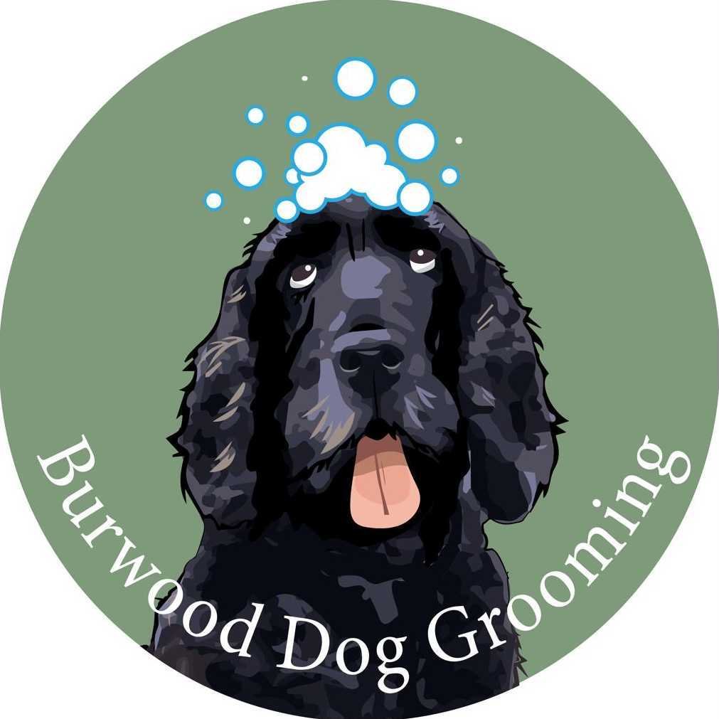 Burwood Dog Grooming