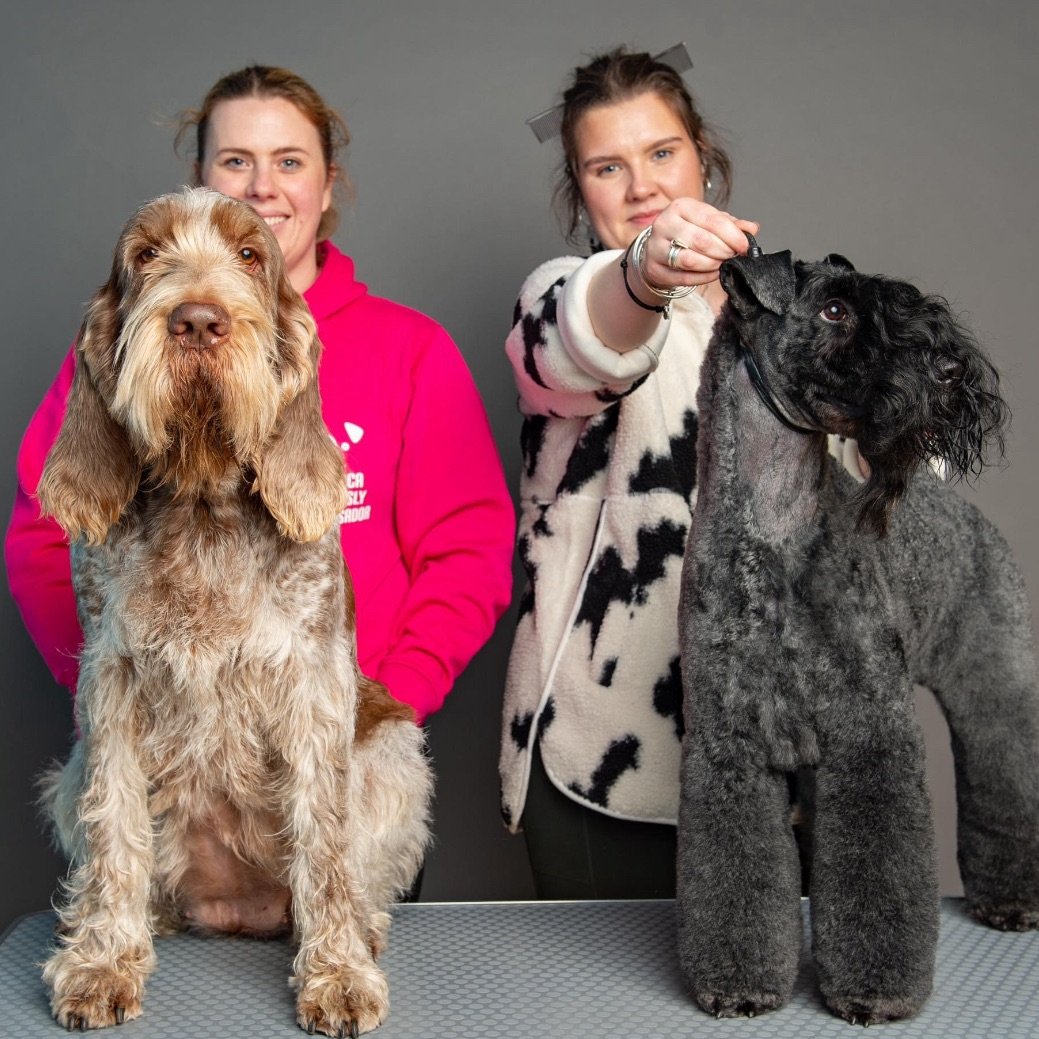 Canine Creations Lincs