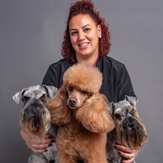Curracloe Dog Grooming Salon