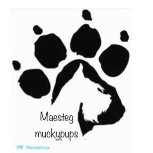Maesteg Mucky Pups