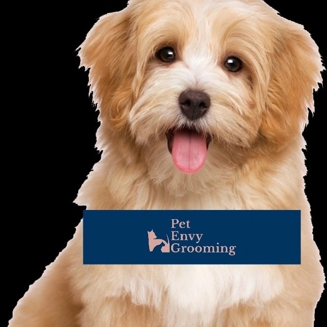Pet Envy Grooming