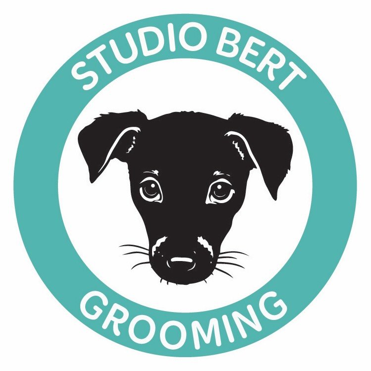 StudioBERT Dog Grooming