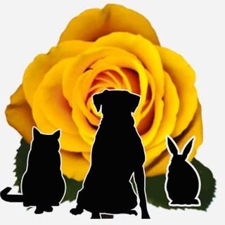 Arkadia Dog Grooming & Pet Services