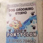 Barking Basement Dog Grooming Studio