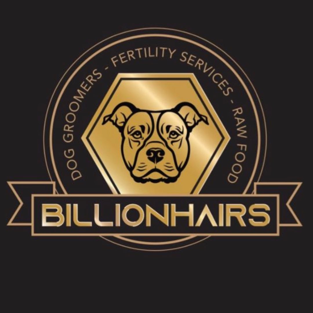 Billionhairs ltd