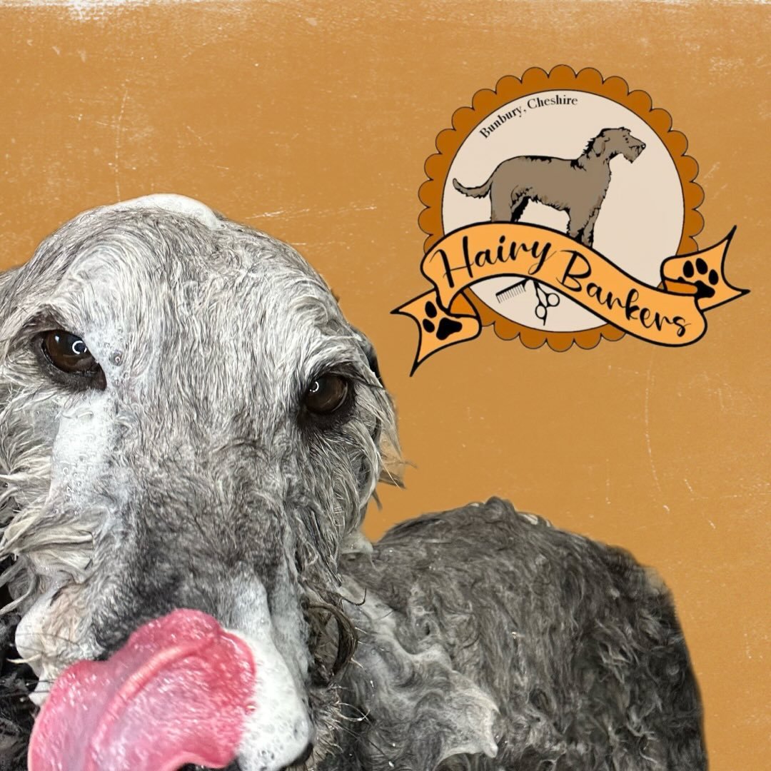 Hairy Barkers of Bunbury