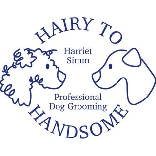 Hairy To Handsome dog grooming