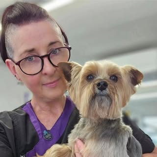 K9 Creative Cuts