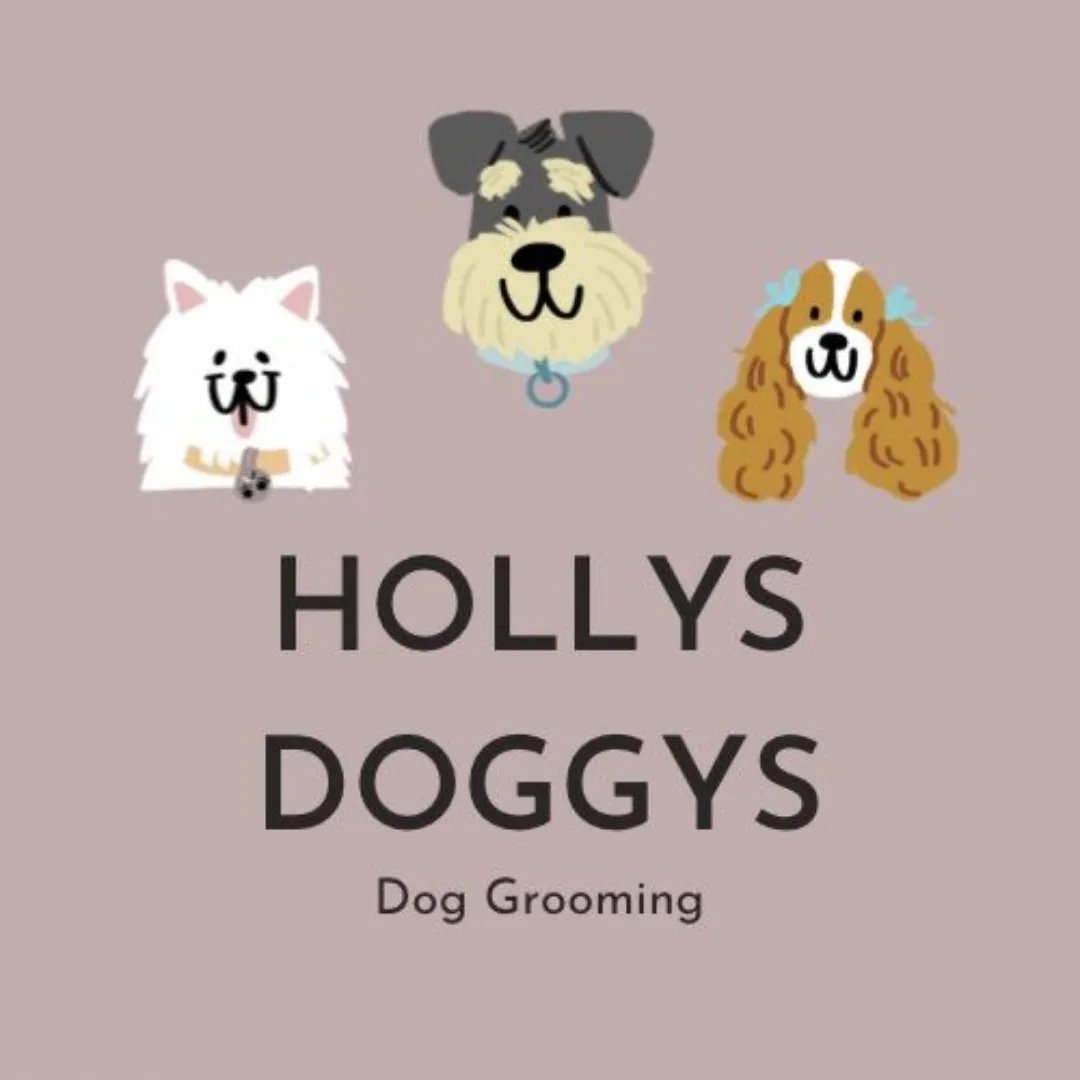 Holly's Doggy's Ltd