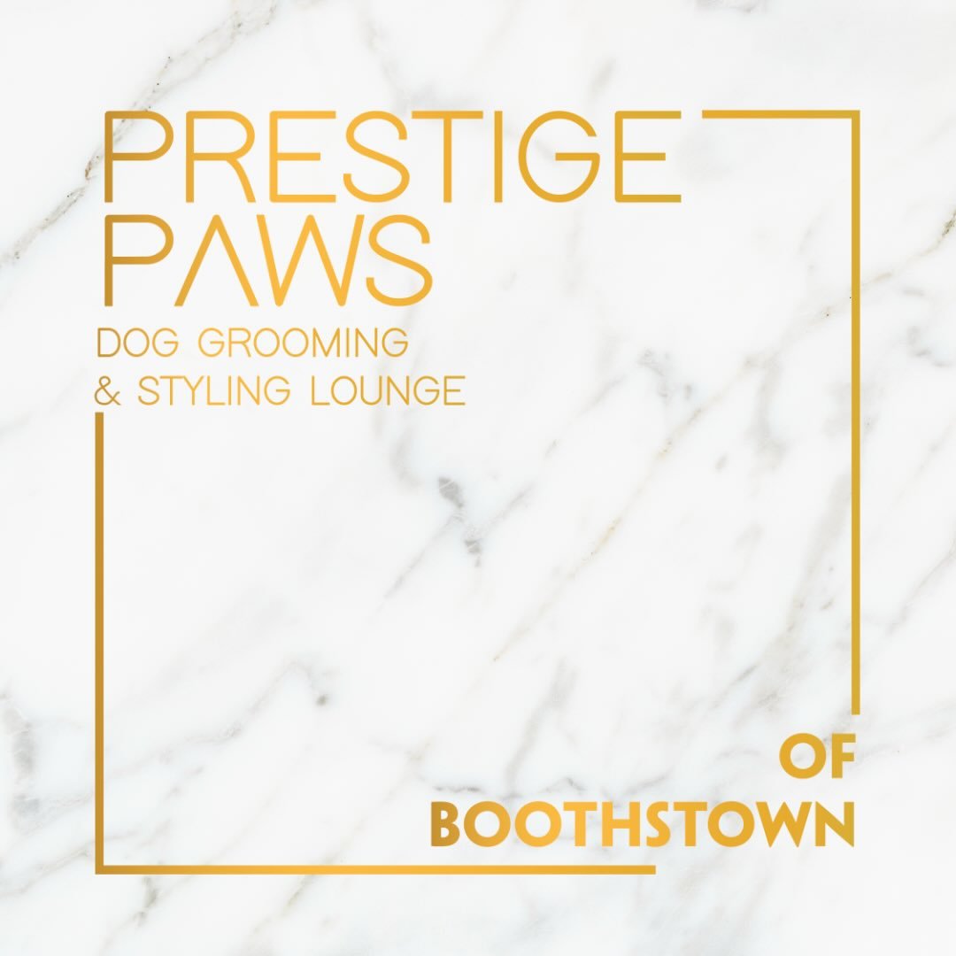 Prestige Paws Dog Grooming & Styling Lounge