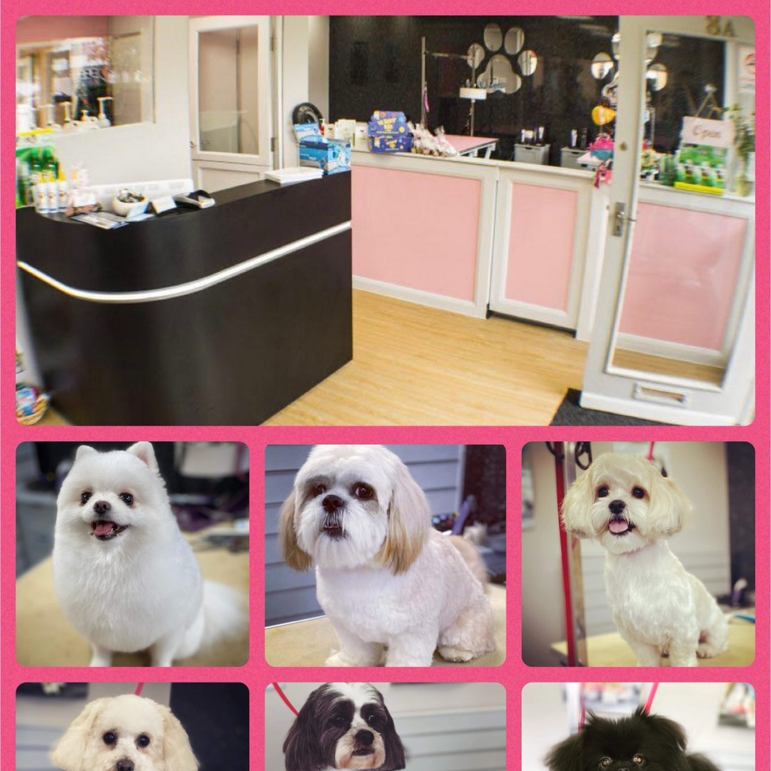 Perfect Pooches Grooming Salon and Spa