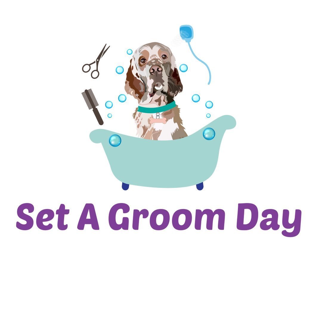 Set A Groom Day