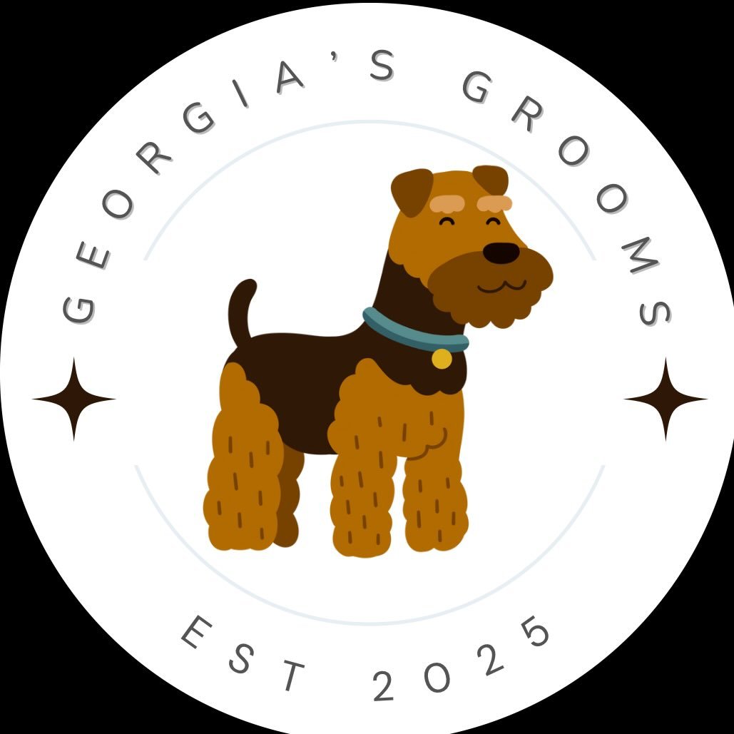 Georgia's Grooms