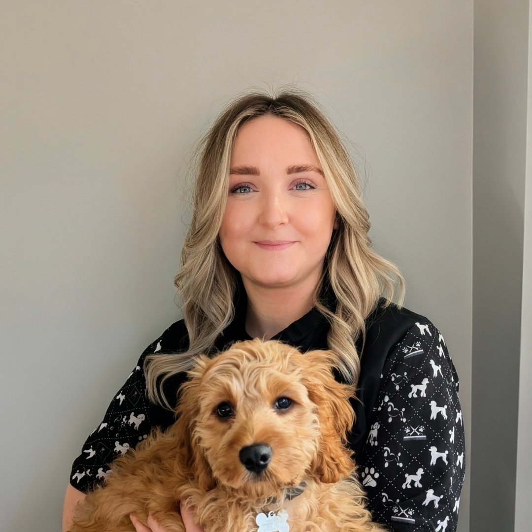 Barnabys Dog Grooming Spa